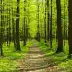 Algorytm Diffiego Hellmana