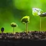 Rozrost toźsamości